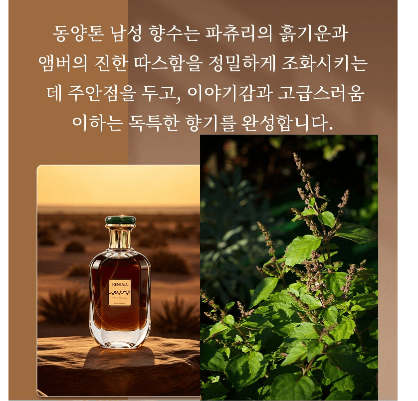 RENESIA Men's Eau de Parfum 100ml | Oriental Woody Fragrance for Men - Kimmart